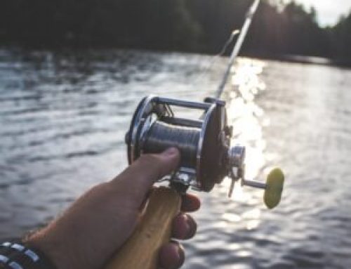Prize Pike
