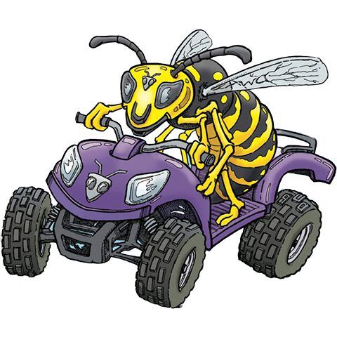 bee_on_atv