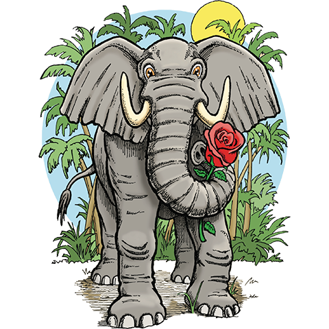 elephant